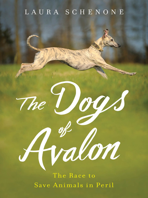 Title details for The Dogs of Avalon by Laura Schenone - Wait list